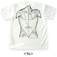 うら Anatomyシリーズ 筋肉Tシャツ・ホワイト・うら